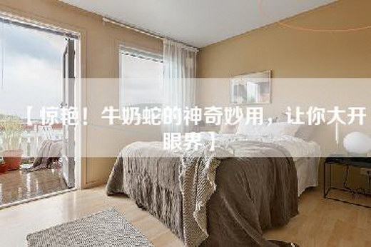 【惊艳！牛奶蛇的神奇妙用，让你大开眼界】