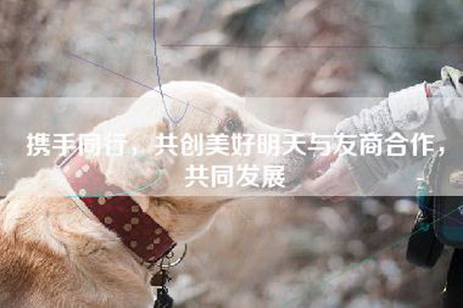 携手同行，共创美好明天与友商合作，共同发展