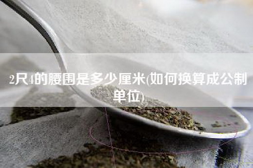 2尺4的腰围是多少厘米(如何换算成公制单位)