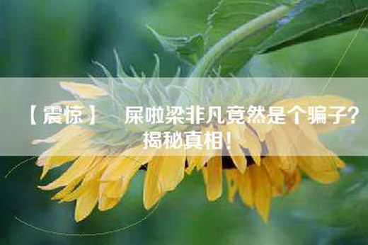 【震惊】吔屎啦梁非凡竟然是个骗子？揭秘真相！