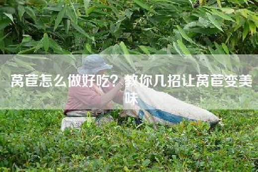 莴苣怎么做好吃？教你几招让莴苣变美味