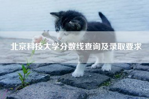 北京科技大学分数线查询及录取要求