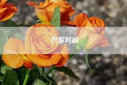巴黎时间