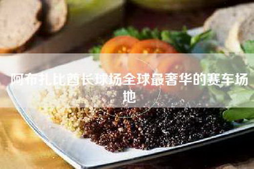 阿布扎比酋长球场全球最奢华的赛车场地