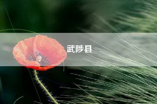 武陟县