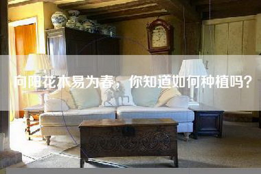向阳花木易为春，你知道如何种植吗？