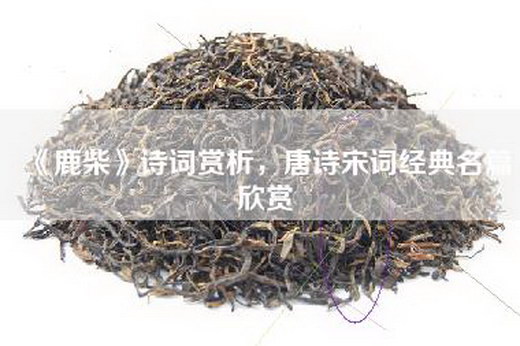 《鹿柴》诗词赏析，唐诗宋词经典名篇欣赏