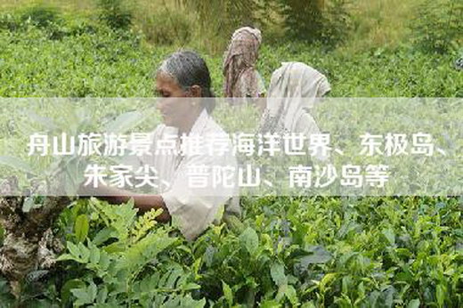 舟山旅游景点推荐海洋世界、东极岛、朱家尖、普陀山、南沙岛等