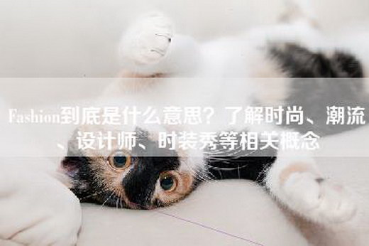 Fashion到底是什么意思？了解时尚、潮流、设计师、时装秀等相关概念