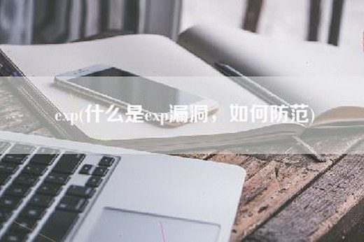 exp(什么是exp漏洞，如何防范)