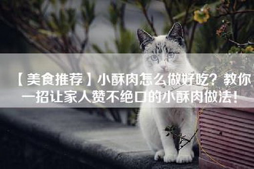 【美食推荐】小酥肉怎么做好吃？教你一招让家人赞不绝口的小酥肉做法！