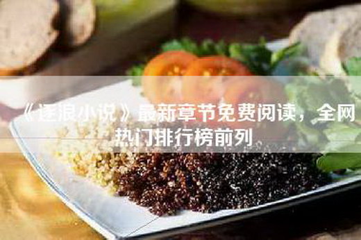 《逐浪小说》最新章节免费阅读，全网热门排行榜前列