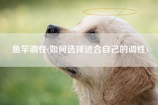 鱼竿调性(如何选择适合自己的调性)