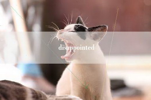 disappointed