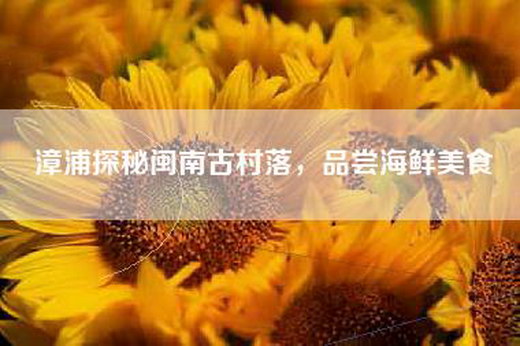漳浦探秘闽南古村落，品尝海鲜美食