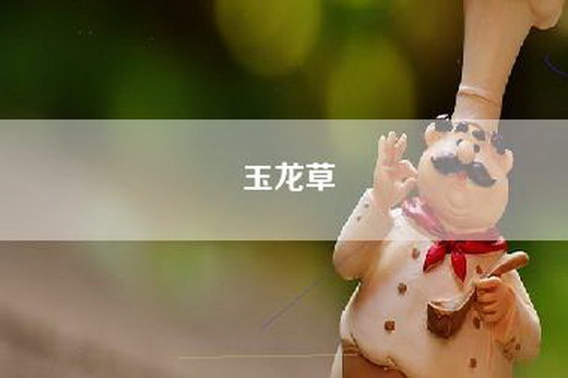 玉龙草