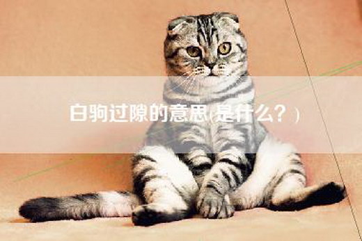 白驹过隙的意思(是什么？)