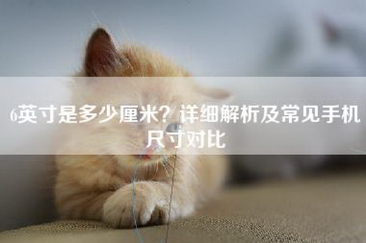 6英寸是多少厘米？详细解析及常见手机尺寸对比