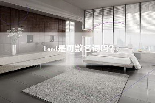 Food是可数名词吗？