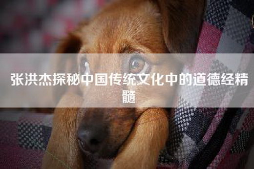 张洪杰探秘中国传统文化中的道德经精髓