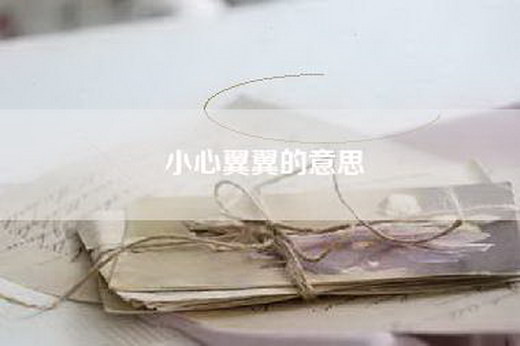 小心翼翼的意思
