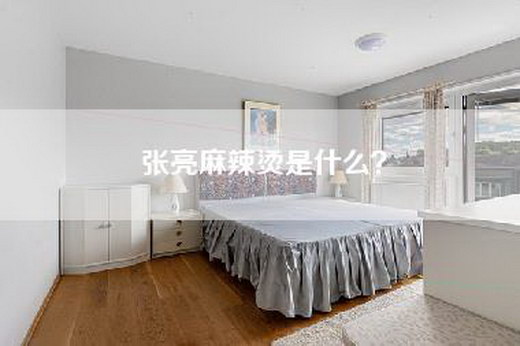 张亮麻辣烫是什么？