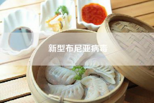 新型布尼亚病毒