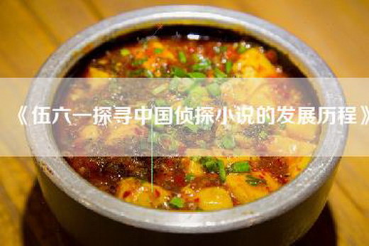 《伍六一探寻中国侦探小说的发展历程》