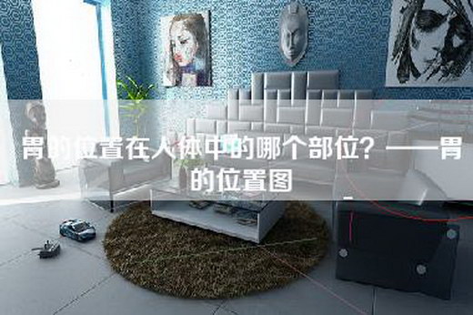 胃的位置在人体中的哪个部位？——胃的位置图