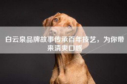 白云泉品牌故事传承百年技艺，为你带来清爽口感