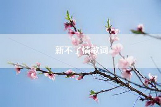 新不了情歌词
