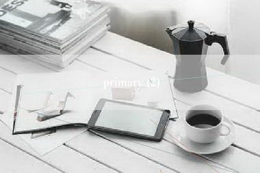 primary (2)