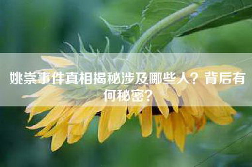 姚崇事件真相揭秘涉及哪些人？背后有何秘密？