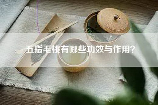 五指毛桃有哪些功效与作用？