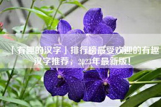 「有趣的汉字」排行榜最受欢迎的有趣汉字推荐，2023年最新版！