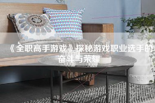 《全职高手游戏》探秘游戏职业选手的奋斗与荣耀