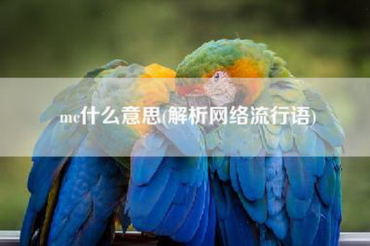 mc什么意思(解析网络流行语)