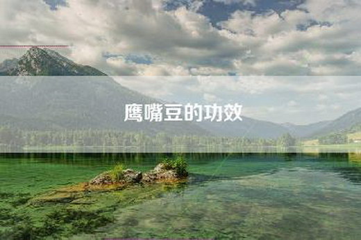 鹰嘴豆的功效