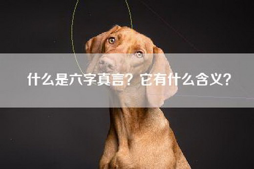 什么是六字真言？它有什么含义？