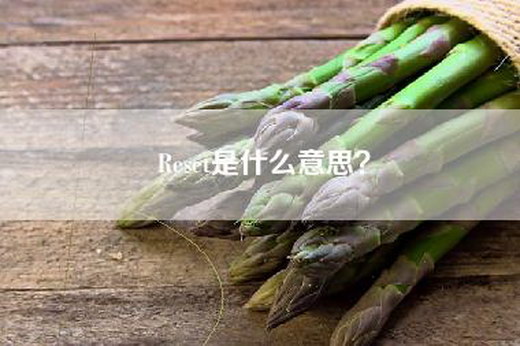 Reset是什么意思？
