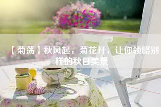 【菊荡】秋风起，菊花开，让你领略别样的秋日美景