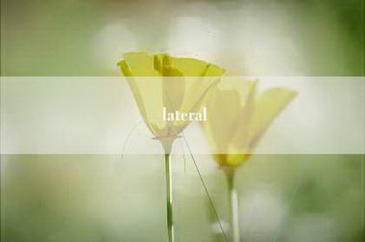 lateral