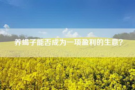 养蝎子能否成为一项盈利的生意？