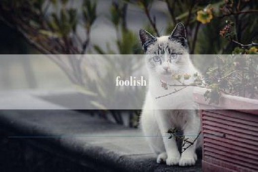 foolish