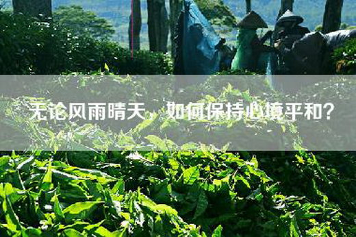 无论风雨晴天，如何保持心境平和？