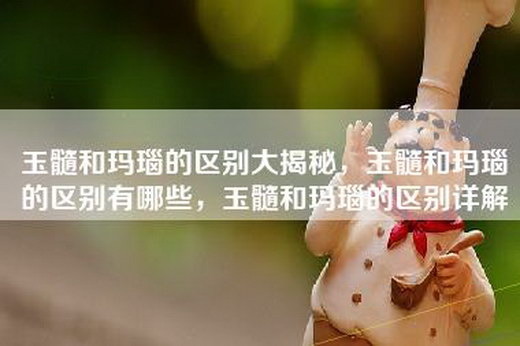 玉髓和玛瑙的区别大揭秘，玉髓和玛瑙的区别有哪些，玉髓和玛瑙的区别详解