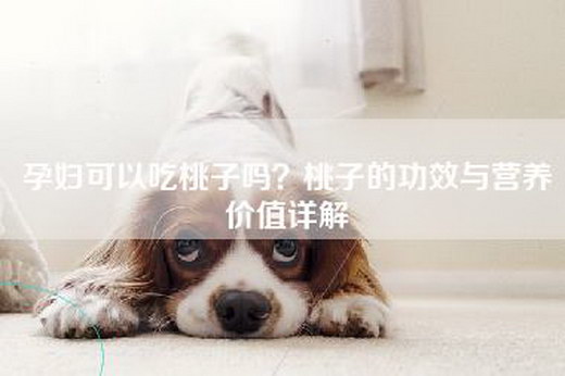 孕妇可以吃桃子吗？桃子的功效与营养价值详解