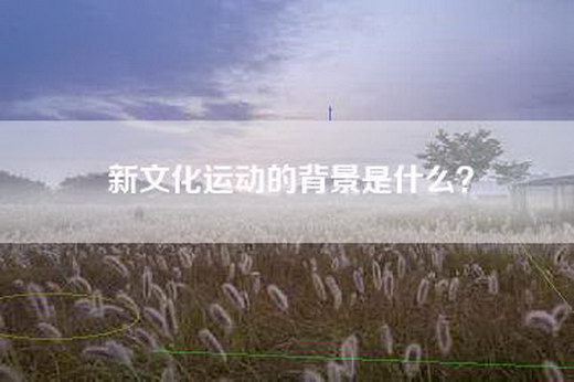 新文化运动的背景是什么？