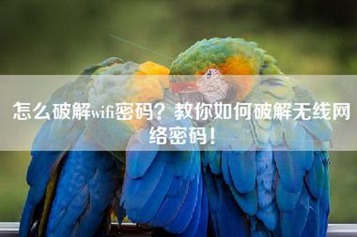 怎么破解wifi密码？教你如何破解无线网络密码！