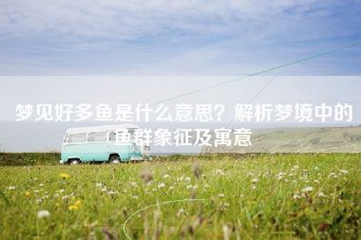 梦见好多鱼是什么意思？解析梦境中的鱼群象征及寓意